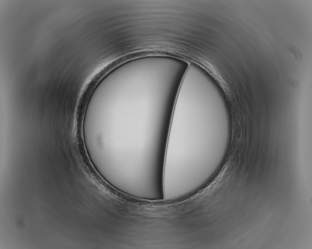 X0000114090780200910051209