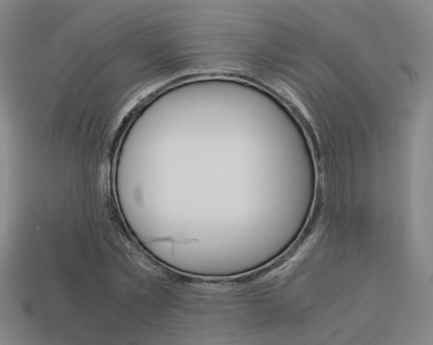 X0000114090781200910051209