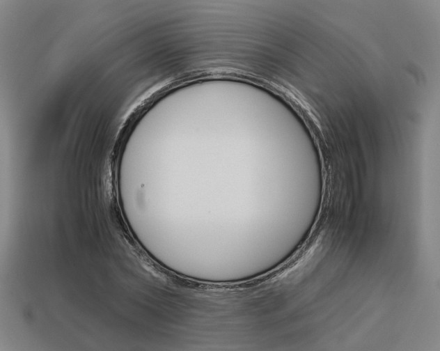 X0000114090782200910051209