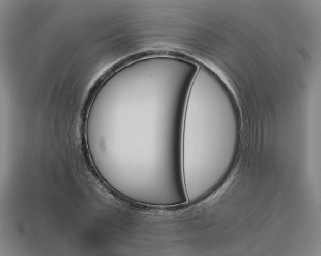 X0000114090783200910051209