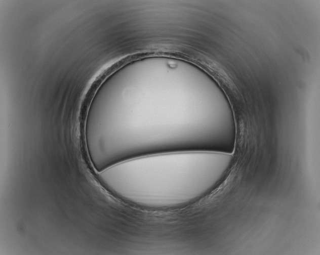 X0000114090784200910051209