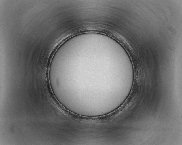 X0000114090786200910051209