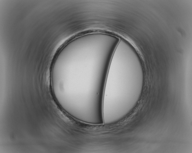 X0000114090791200910051209
