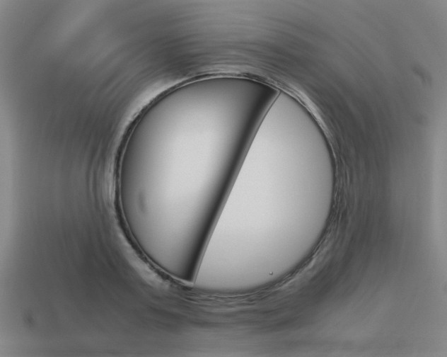 X0000114090795200910051209