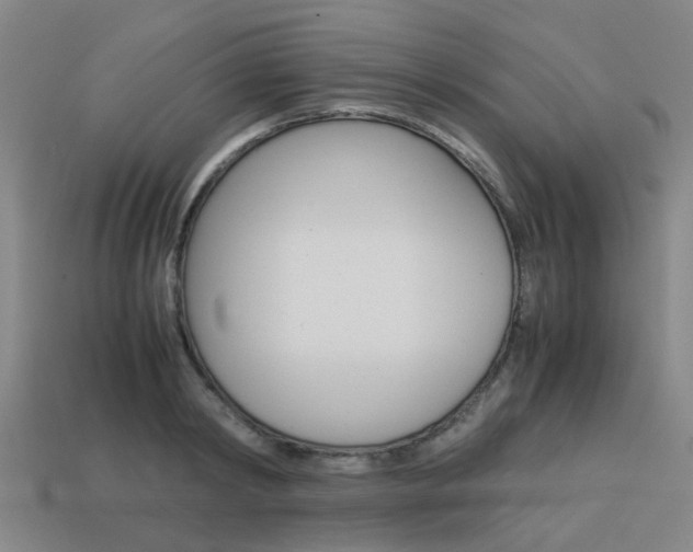 X0000114090798200910051209