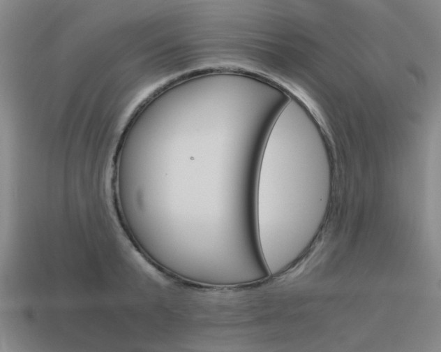 X0000114090799200910051209