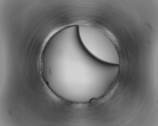 X0000114090808200910051209