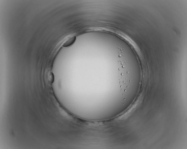X0000114090809200910051209