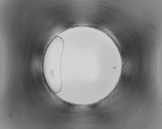 X0000114090810200910051209