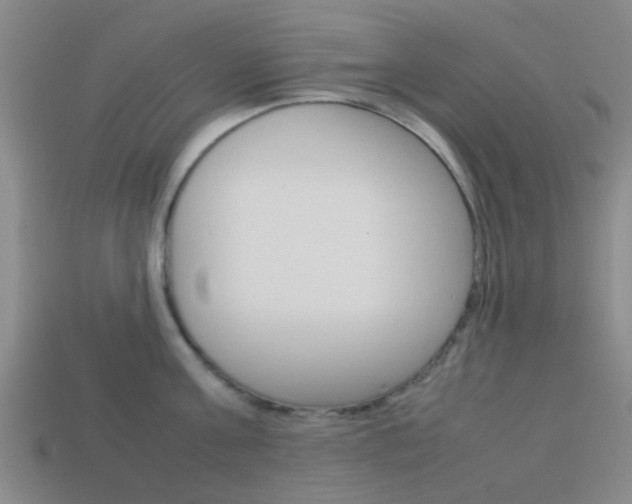X0000114090811200910051209