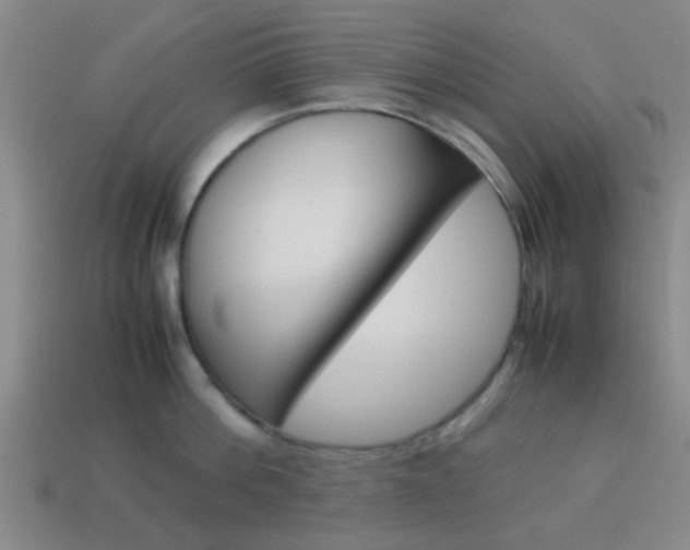 X0000114090812200910051208