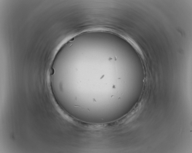X0000114090813200910051208