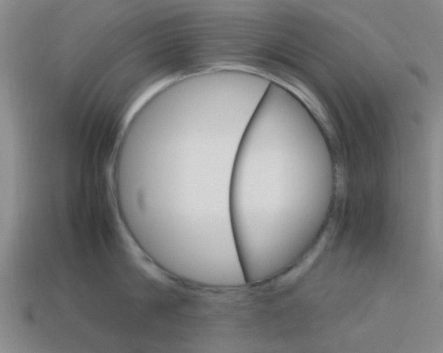 X0000114090814200910051208