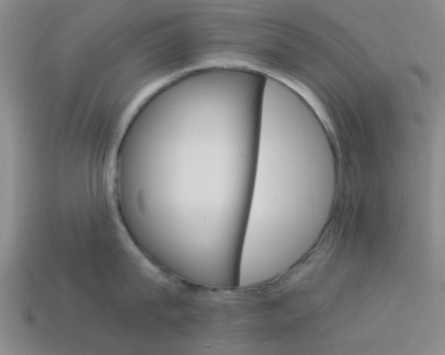 X0000114090815200910051208