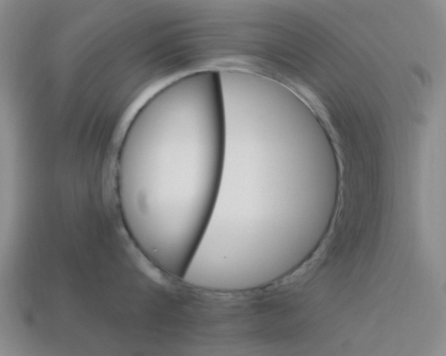 X0000114090816200910051208