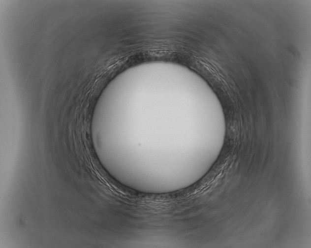X0000114090817200910051208