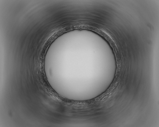 X0000114090823200910051208