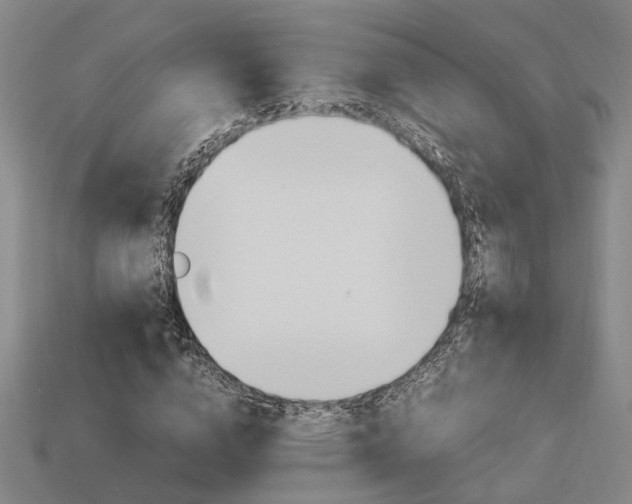 X0000114090824200910051208