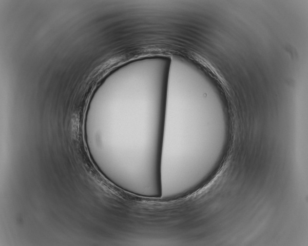 X0000114090825200910051208