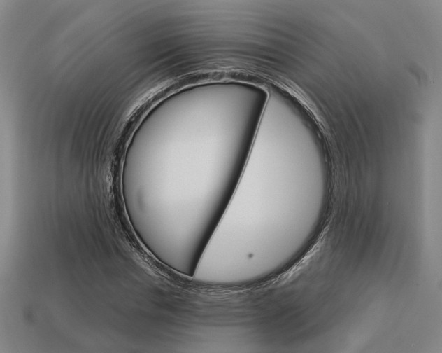 X0000114090826200910051208
