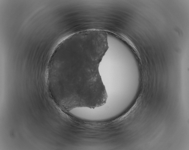 X0000114090831200910051208