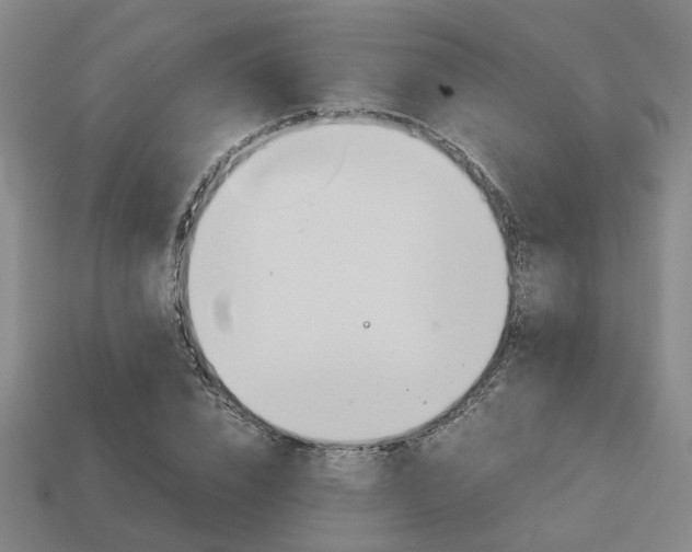 X0000114090832200910051208