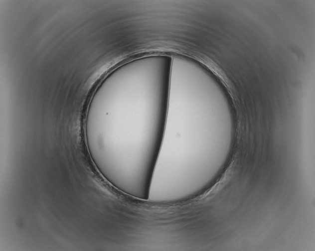 X0000114090834200910051208