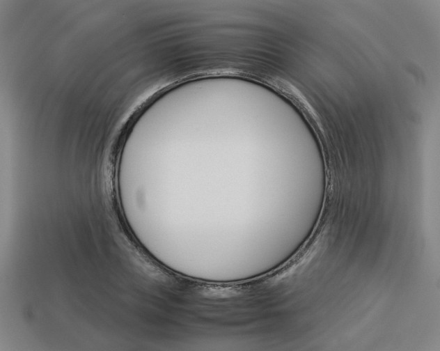 X0000114090835200910051208