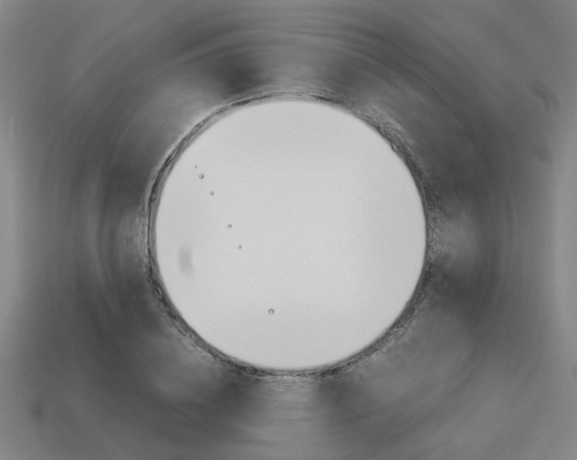 X0000114090836200910051208