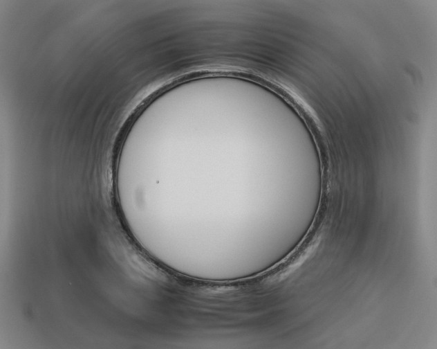 X0000114090837200910051208