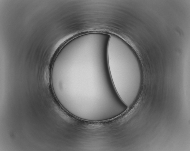 X0000114090838200910051208
