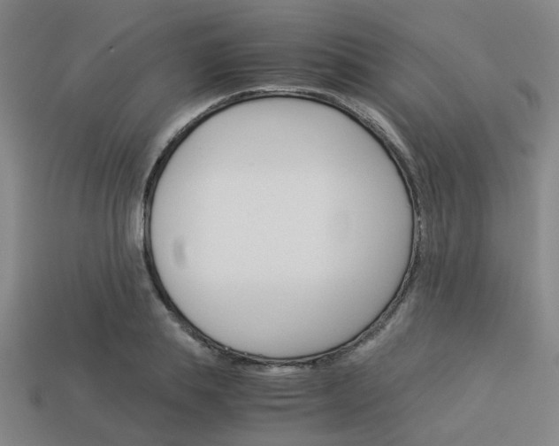 X0000114090839200910051208