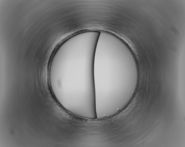 X0000114090840200910051208