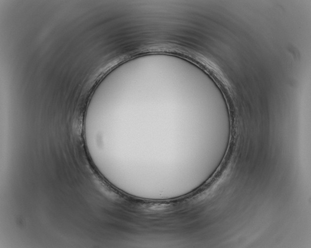 X0000114090841200910051208