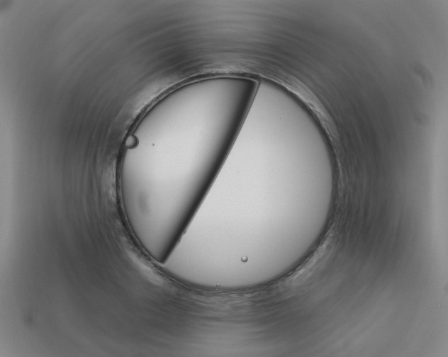X0000114090842200910051208