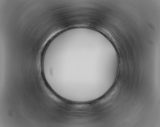 X0000114090843200910051208