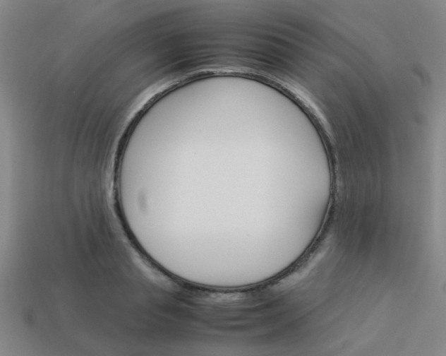 X0000114090845200910051208