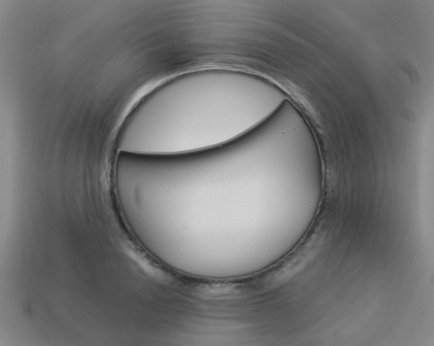 X0000114090846200910051208