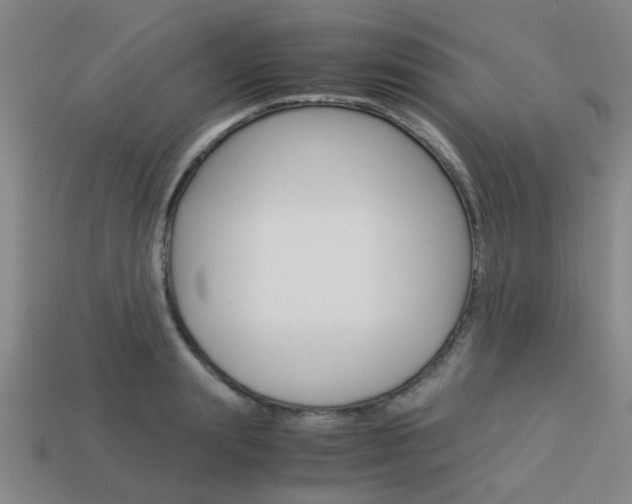 X0000114090847200910051208