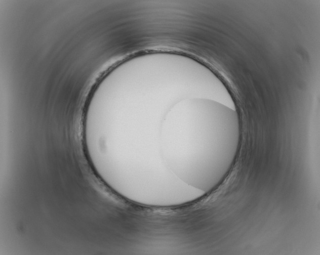 X0000114090848200910051208