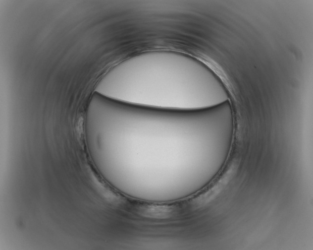 X0000114090849200910051208