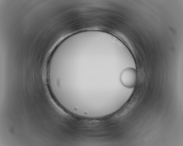 X0000114090851200910051208