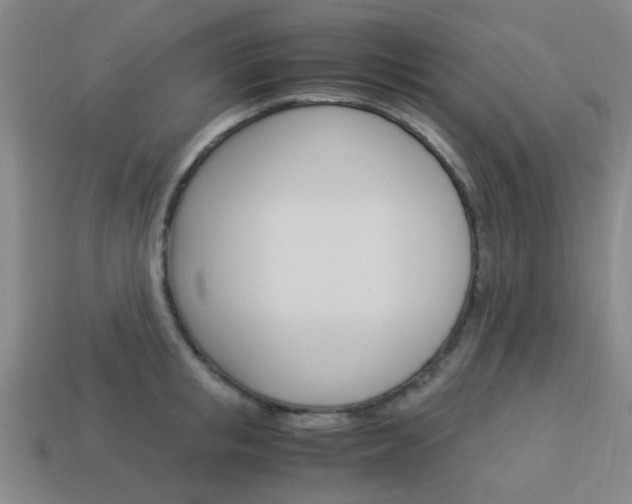 X0000114090853200910051208