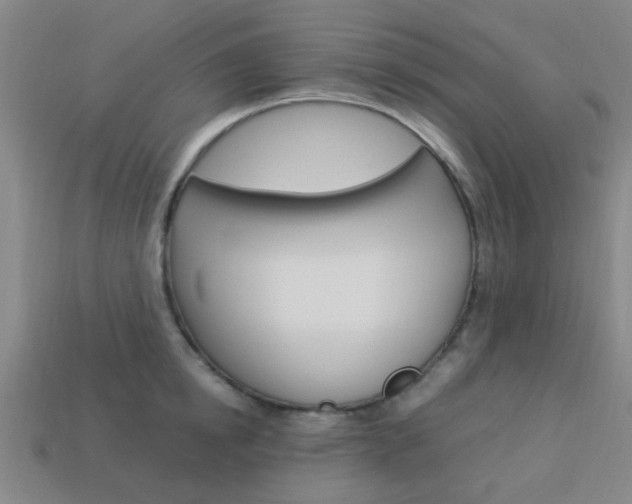X0000114090854200910051208