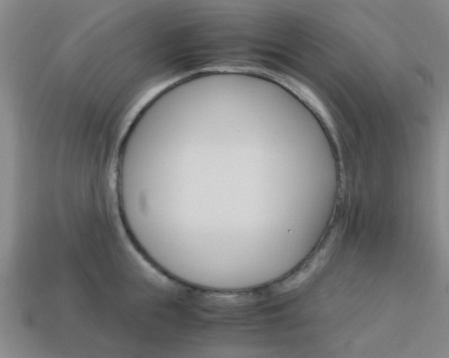 X0000114090855200910051208