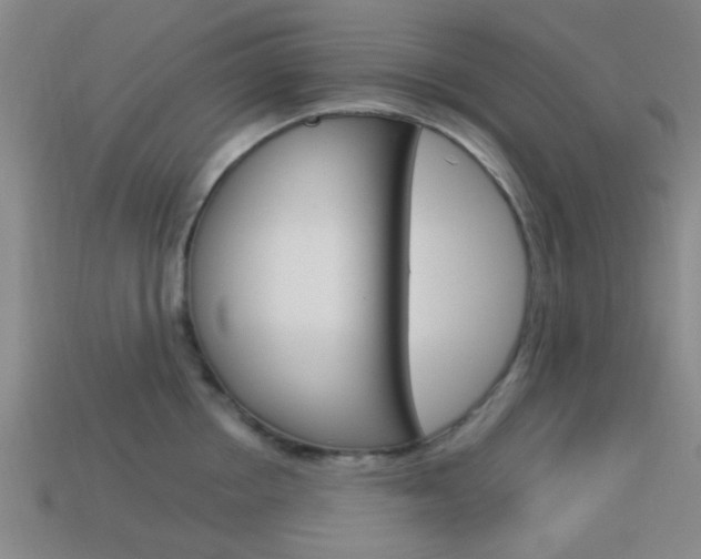 X0000114090858200910051208