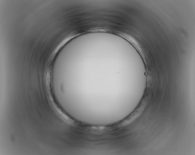X0000114090859200910051208