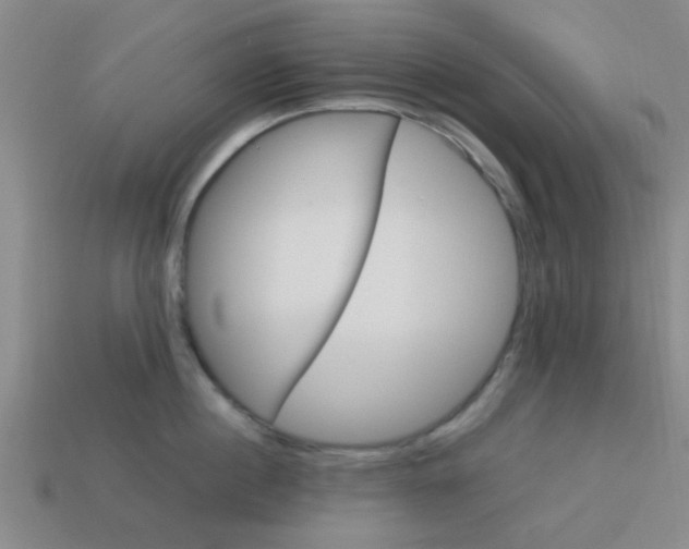 X0000114090860200910051208