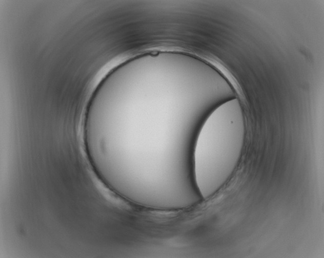 X0000114090861200910051208