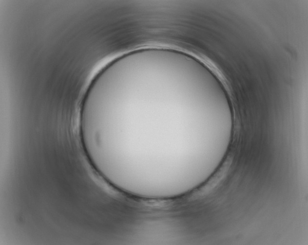 X0000114090862200910051208